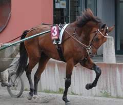 Random Shot 130808-3